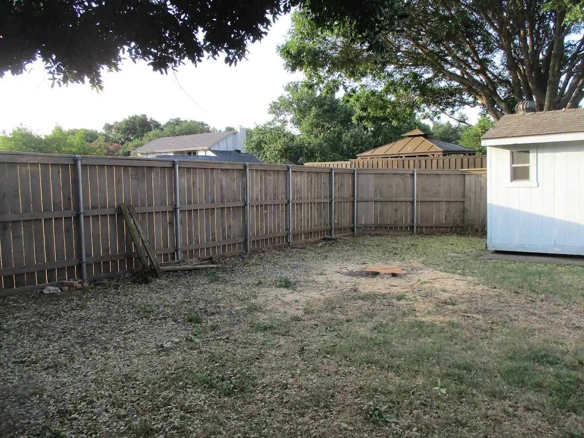 Cleared yard after professional tree removal in Concord